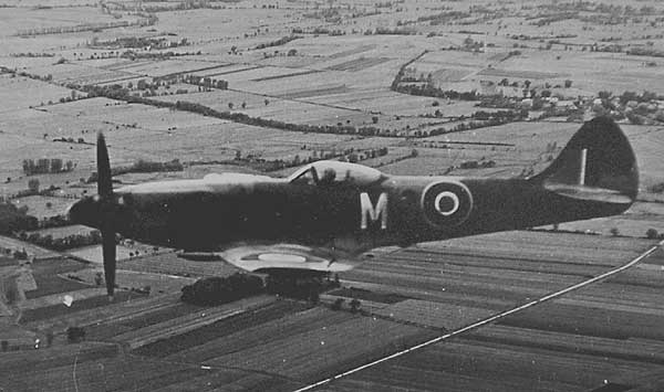 Spit XIV - "M for Margo"