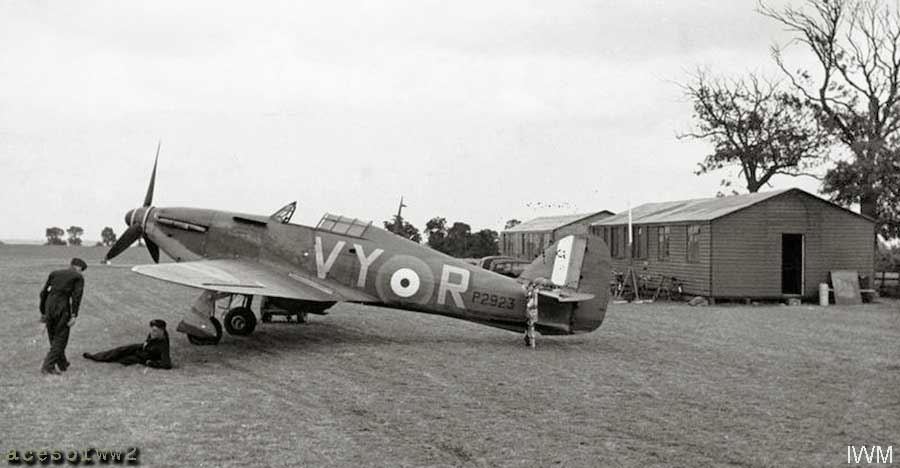 VY-R minding her own business