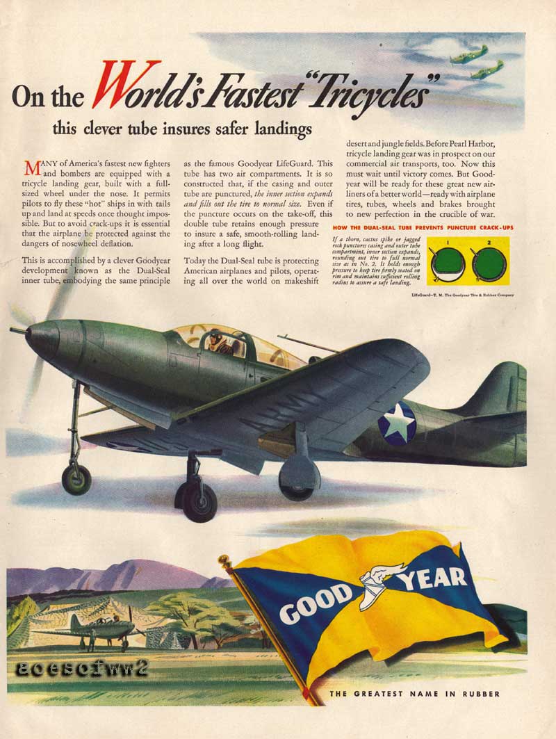 "On the World's Fastest Tricycles"