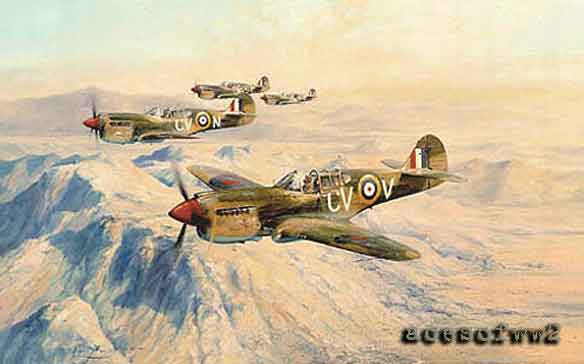 Desert Hawks by Robert Taylor