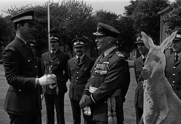 Kangaroo Air Marshall